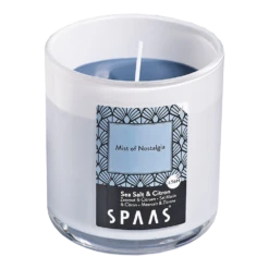 Geurkaars In Glas Met Deksel 56u - Mist Of Nostalgia - Geurkaars - SPAAS